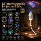 12 interchangeable projection slides
